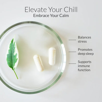 Premium Magnesium Complex